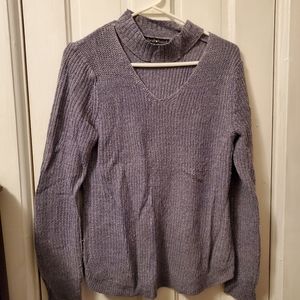 Derek heart purple sweater